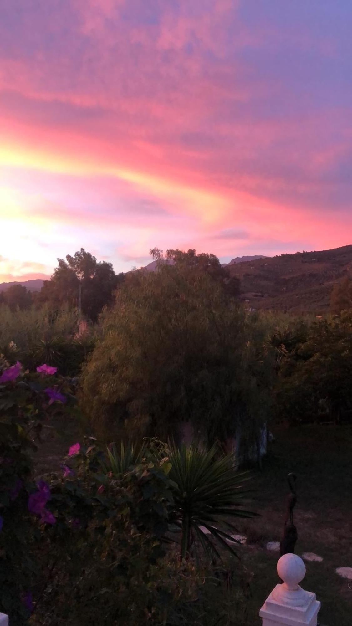 Finca El Rio,, La Casita One Of 2 Self Catering Studios. Pool And Hydrotherapy Jacuzzi Malaga Exterior photo