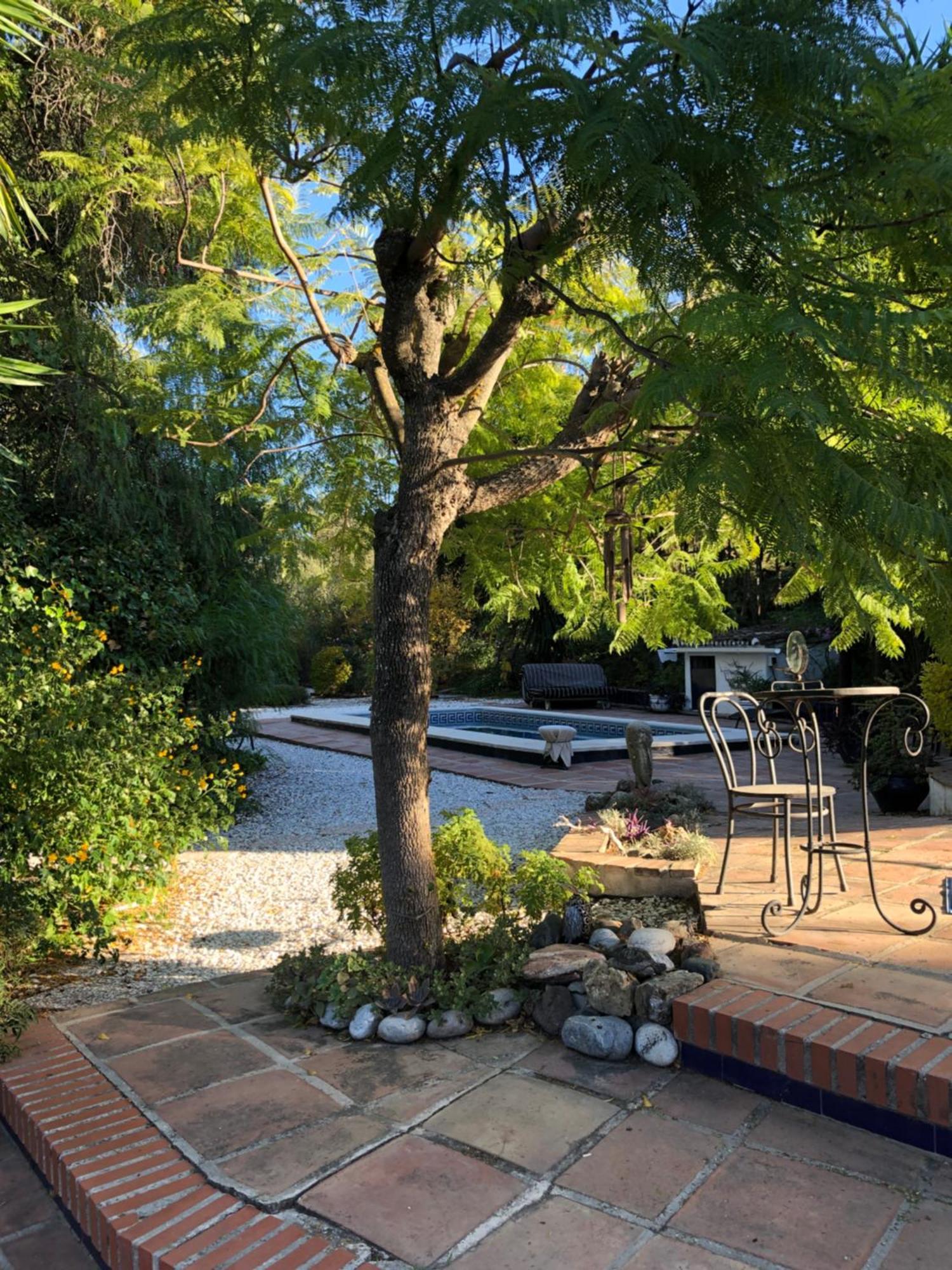 Finca El Rio,, La Casita One Of 2 Self Catering Studios. Pool And Hydrotherapy Jacuzzi Malaga Exterior photo